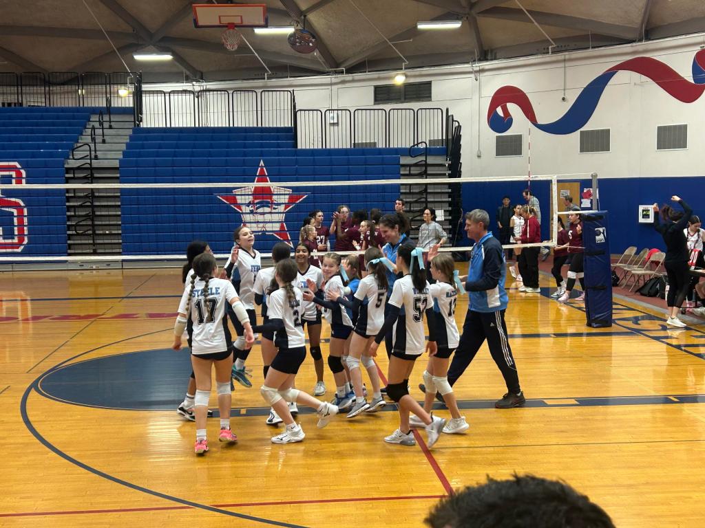 A FEVA volleyball team celebrating after a match, with players in white and blue uniforms, a coach, and spectators in the background.